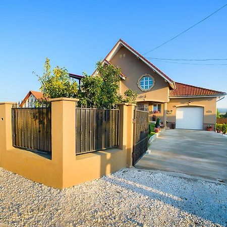 Отель Casa Iulia Хацег Экстерьер фото